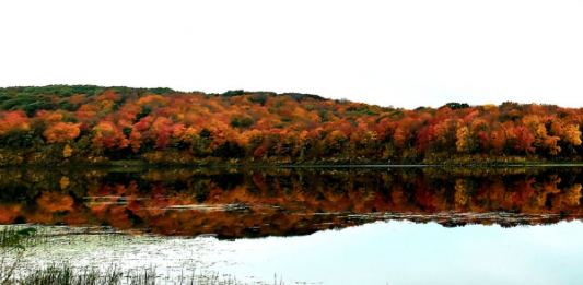 maplewood state park