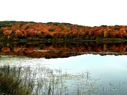 maplewood state park