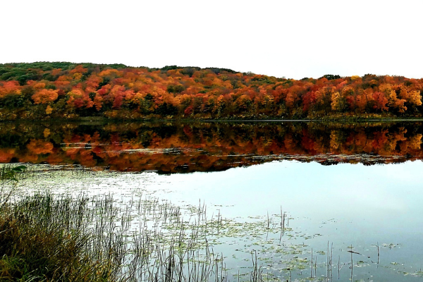 Day Trip from Fargo: Explore Maplewood State Park