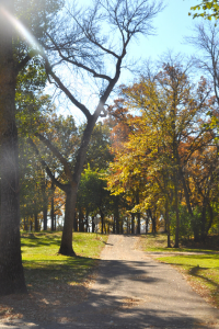 lindenwood park