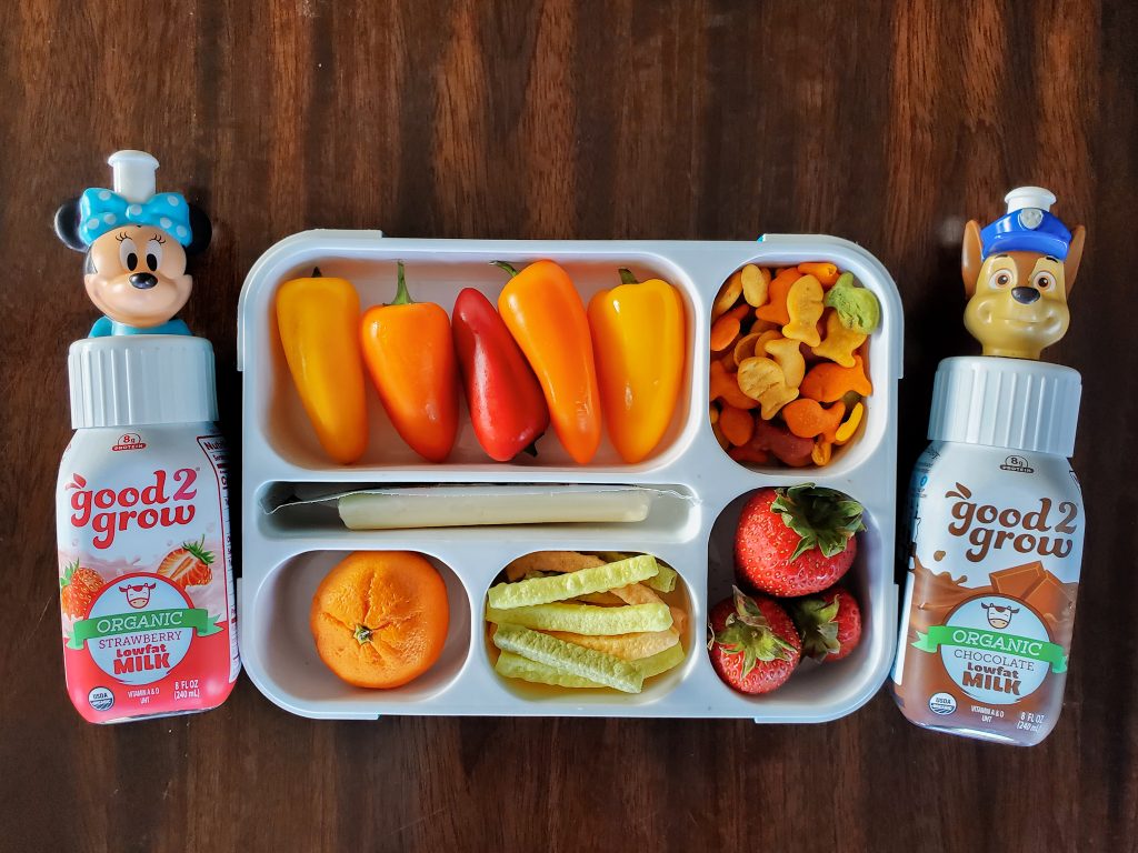 Kid Friendly On the Go Snacks For Summer