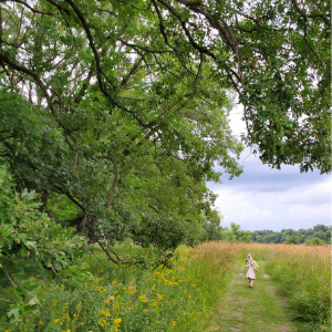 camping spots near fargo