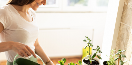 plant lady