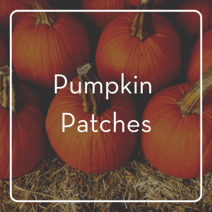 pumpkin patches in fargo