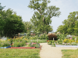 children's garden