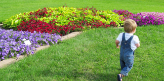 NDSU display gardens