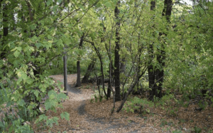 hike with kids in fargo