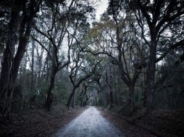 Scary spots in Fargo