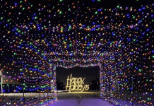 Drive-Thru Holiday Lights in Fargo at the Fairgrounds | 2025