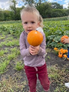 nelson's pumpkin patch