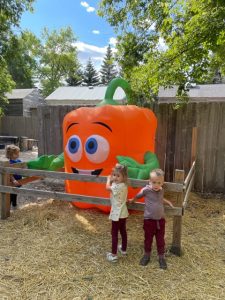 nelson's pumpkin patch