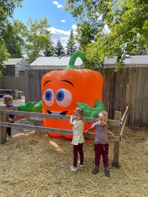 nelson's pumpkin patch
