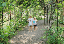 day trips from Fargo