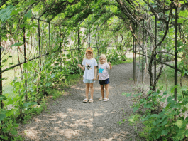 day trips from Fargo
