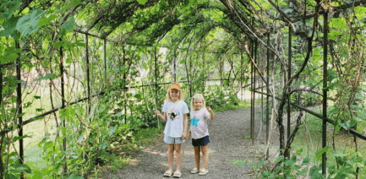 day trips from Fargo