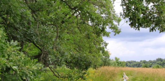 glendalough state park