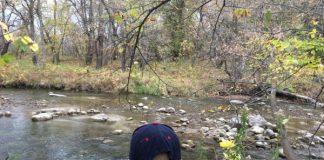 Buffalo River State Park