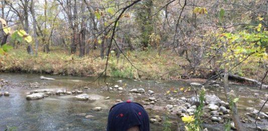 Buffalo River State Park