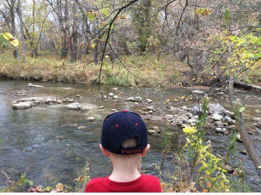 Buffalo River State Park