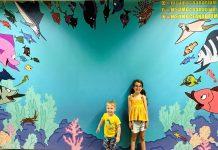 MSUM Oceanarium