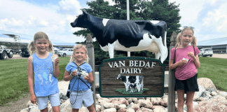 van bedaf dairy