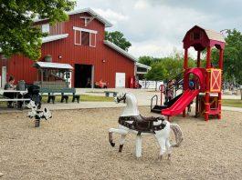 bramble park KidZoo play area