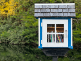 little free libraries in Fargo