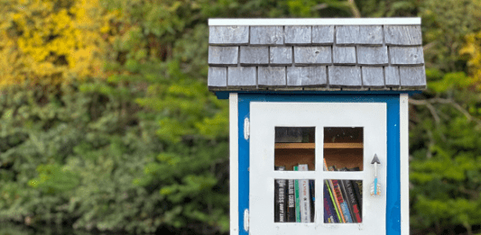 little free libraries in Fargo