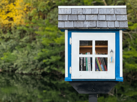 little free libraries in Fargo