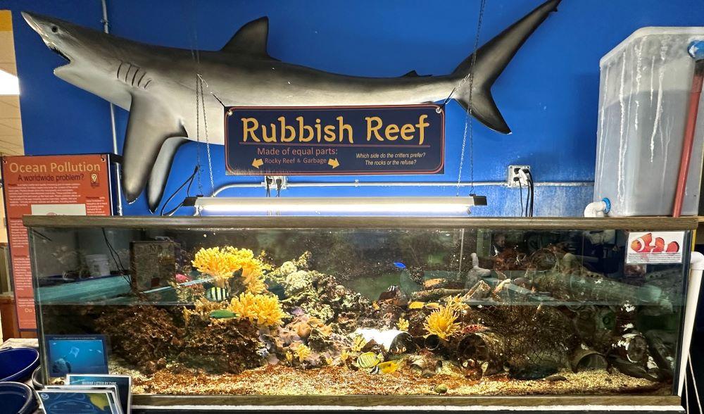 Oceanarium Rubbish Reef