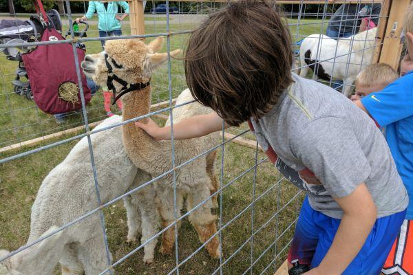 Ten Seven Acres Alpaca Farm.