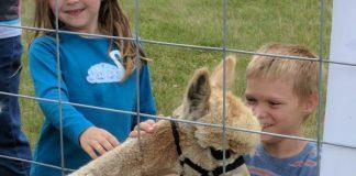 Ten Seven Acres Alpaca Farm.