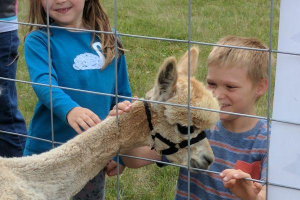 Ten Seven Acres Alpaca Farm.