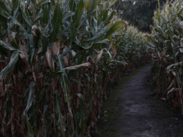 haunted farms in fargo