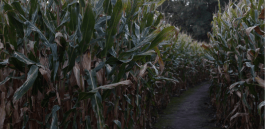haunted farms in fargo