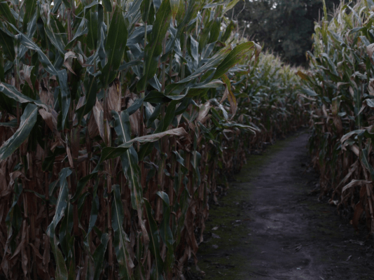 haunted farms in fargo