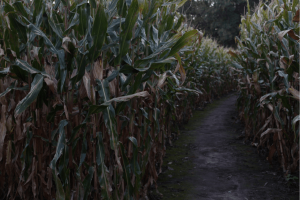 haunted farms in fargo