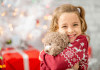 holiday assistance fargo