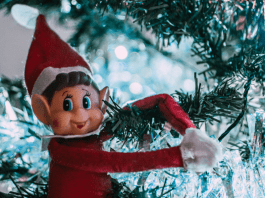 elf on the shelf