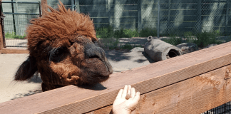 red river zoo fargo