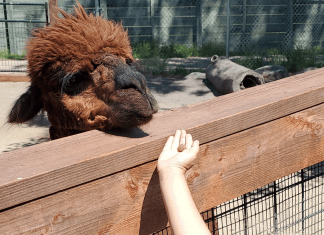red river zoo fargo