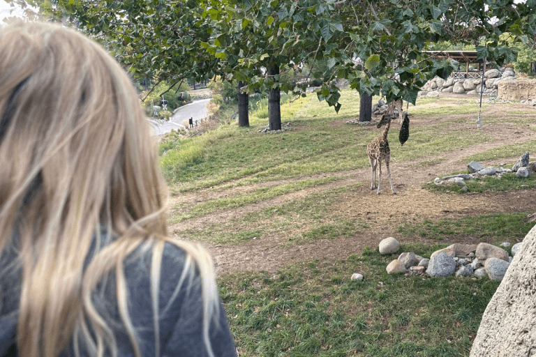 Zoos Near Fargo That Are Worth the Drive