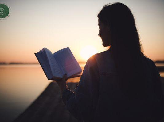 Summer reads