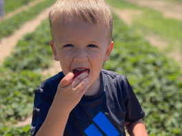 Berry-Picking Farms Near Fargo