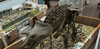 things to do in Valley City