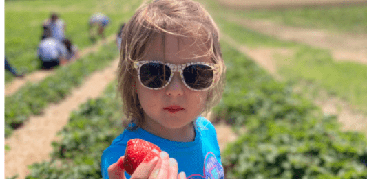 country blossom farm berry picking