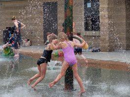 shadow wood splash pad