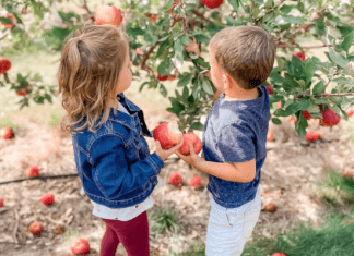 apple orchards near fargo
