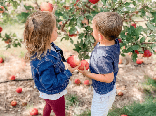 apple orchards near fargo