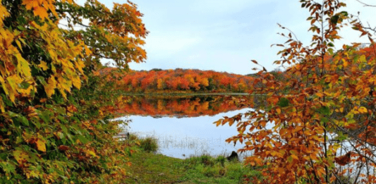 fall colors near fargo